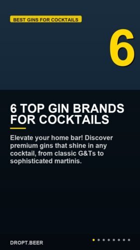 6 Top Gin Brands for Cocktails – 6 Top Gin Brands for Cocktails | Elevate Your Home Bar