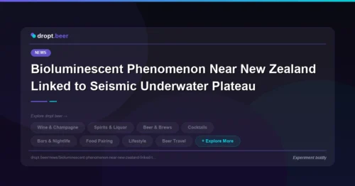 Bioluminescent Phenomenon Near New Zealand Linked to Seismic Underwater Plateau | dropt.beer