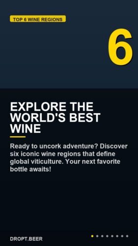 Explore The World's Best Wine – Discover 6 Top Wine Regions & Their Iconic Wines