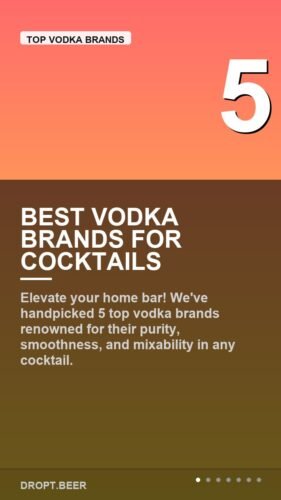 Best Vodka Brands for Cocktails – Discover the Best Vodka Brands for Perfect Cocktails