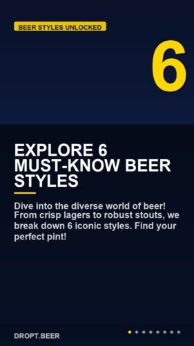 Explore 6 Must-Know Beer Styles – Master Beer: 6 Top Styles Explained