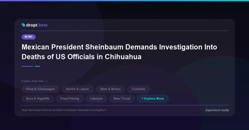 Mexican President Sheinbaum Demands Investigation Into Deaths of US Officials in Chihuahua | dropt.beer