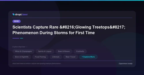 Scientists Capture Rare ‘Glowing Treetops’ Phenomenon During Storms for First Time | dropt.beer