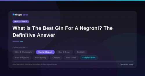 What Is The Best Gin For A Negroni? The Definitive Answer | dropt.beer