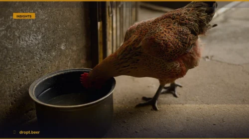Stop Ruining Your Chicken: The Best White Wine Substitutes — Dropt Beer