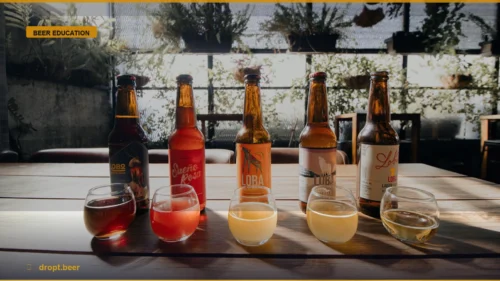 How to Build a Discerning Palate: A Guide to Thoughtful Drinking — Dropt Beer