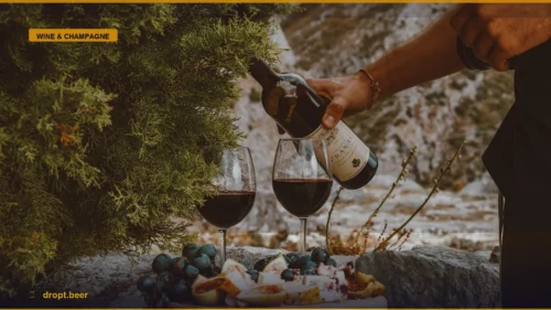 Wine and Acid Reflux: The Truth About Your Glass — Dropt Beer