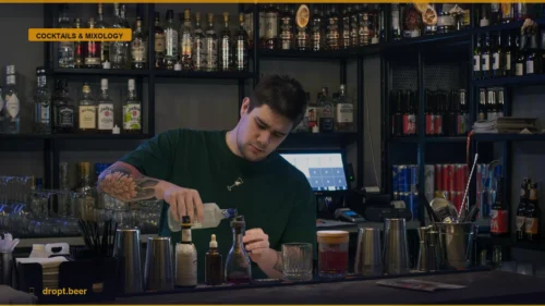 Stop Fearing the Cocktail Machine: Your Guide to Home Bar Tech — Dropt Beer