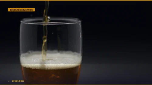 Mastering the Pour: How to Elevate Your Drinking Experience — Dropt Beer
