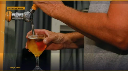 Mastering the Pour: A Practical Guide to Drinking Thoughtfully — Dropt Beer