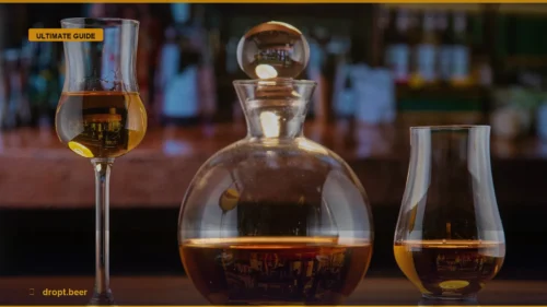The Discerning Drinker’s Guide: Elevating Every Sip