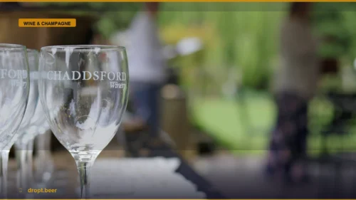 Sip and Savor: The Definitive Guide to Phoenix Wine Bars — Dropt Beer
