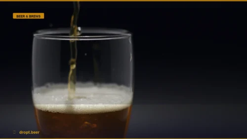 The Global Craft Pour: How to Navigate the New Beer Economy — Dropt Beer