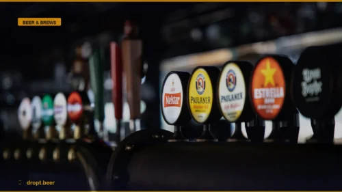 The Hidden Journey: How Global Brewing Really Works — Dropt Beer