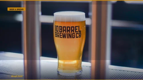The Intentional Glass: Mastering the Art of Mindful Drinking — Dropt Beer