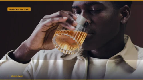 The Mindful Drinker: How to Navigate Modern Alcohol Culture — Dropt Beer