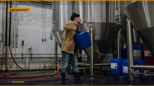 The Unseen Architects: Why Fermentation Defines Your Beer — Dropt Beer