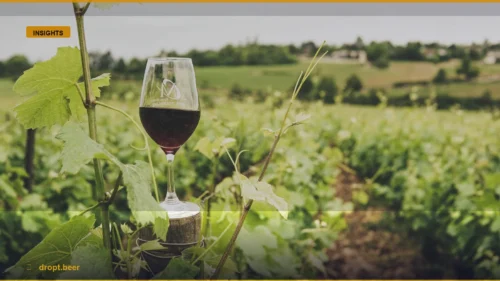 Hickinbotham Wines: A No-Nonsense Guide to Clarendon’s Finest — Dropt Beer