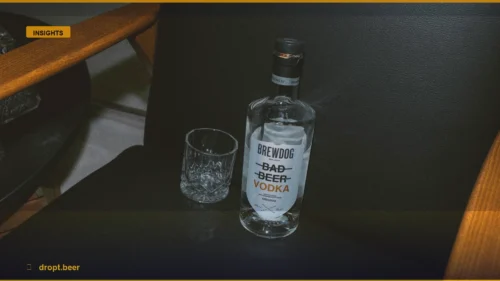 Stop Ruining Your Vodka Mojito: A Pro Guide to Better Mixing — Dropt Beer