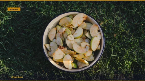 Why Traditional Dry Cider Is the World's Most Perfect Drink — Dropt Beer