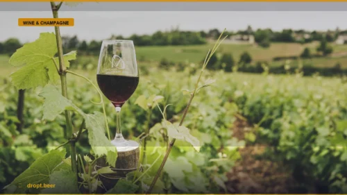 Stop Buying ‘Cooking Wine’: Use This Affordable Sherry Instead